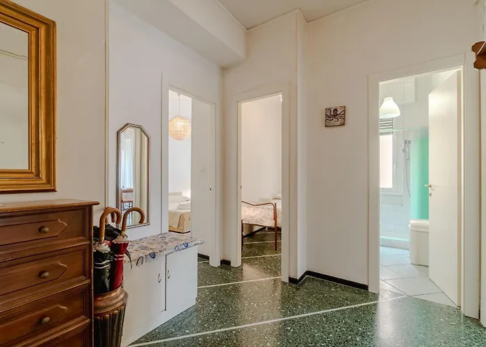 Guesthost - Bright *